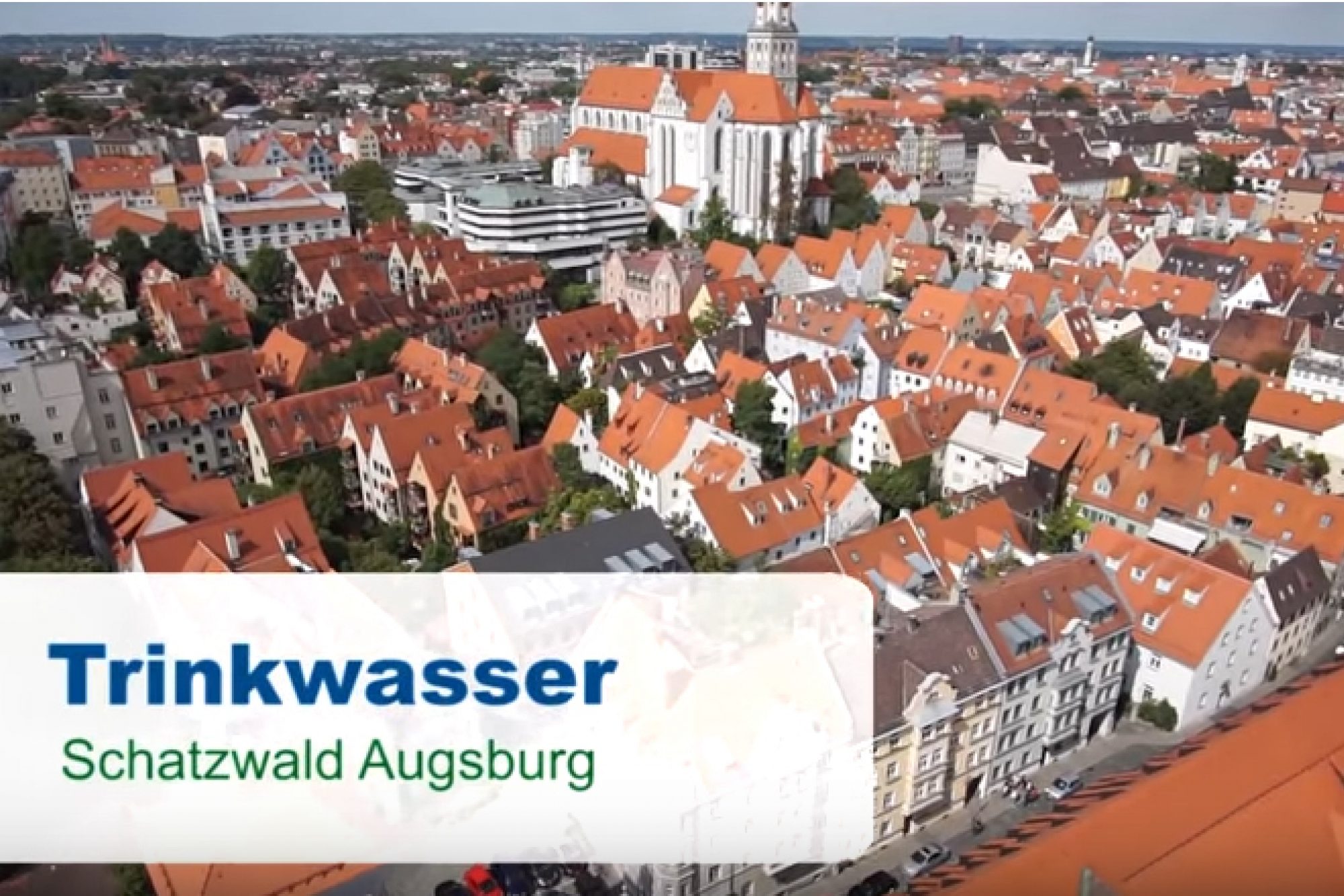Schatzwald_Augsburg_Video.jpg